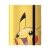 binderPikachu.webp