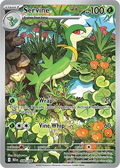 ZSV10PT5_EN_88.webp