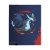 9-Pocket PRO Binder - Mega Charizard X Y 2.webp