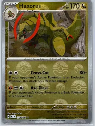 Haxorus (xBLK 070).webp