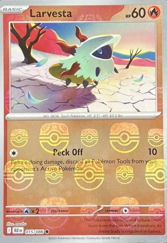 Larvesta (xBLK 015) _11zon.webp