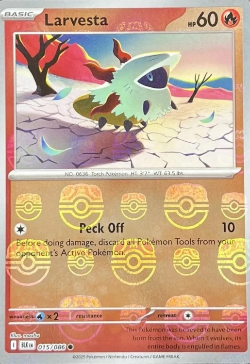 Larvesta (xBLK 015) _11zon.webp